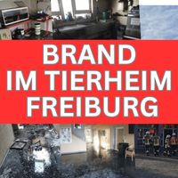 BRAND-IM-TIERHEIM-1